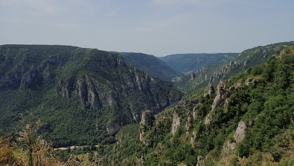 20260621-05.jpg