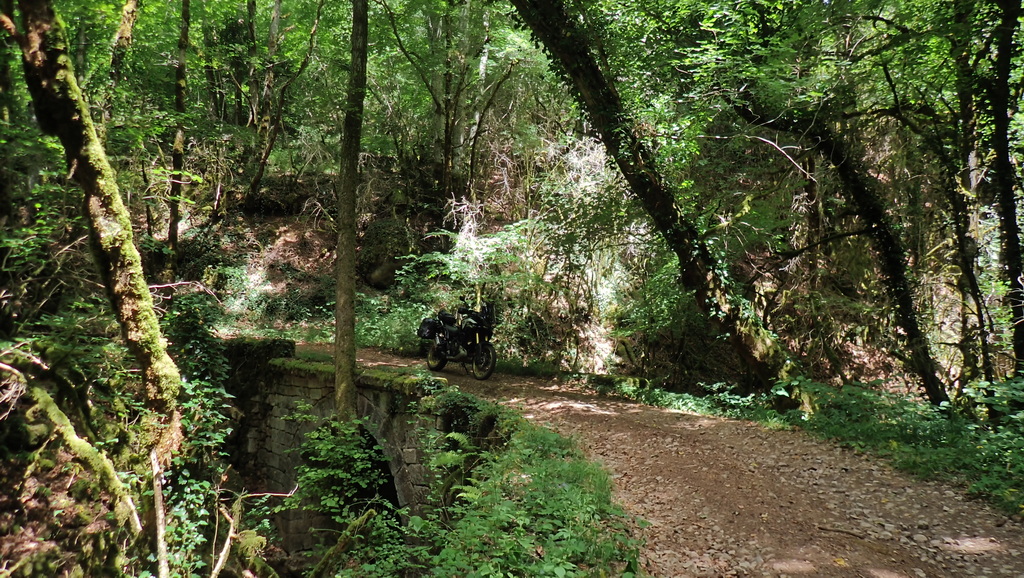 20260621-08.jpg