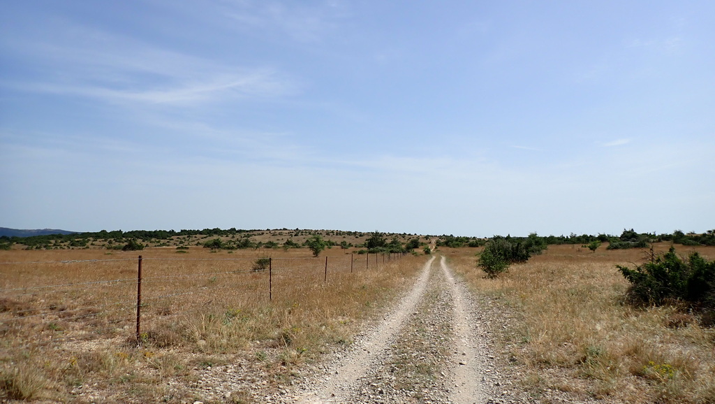 20260621-10.jpg