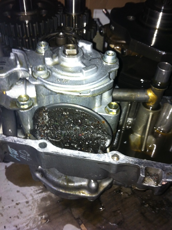 IMG_1337 - Copie.JPG