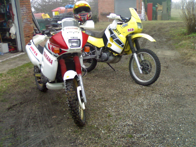 yamaha 660 tenere.jpg