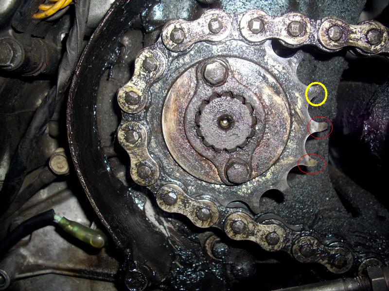 pignon dents creusées.jpg