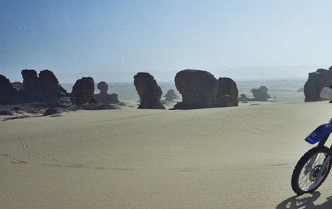 Pas de trace d'AT dans le coin !!!.jpg