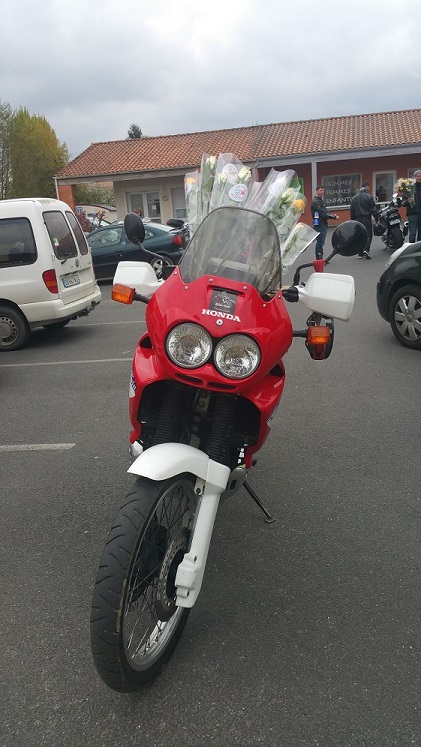 UNE ROSE..UN ESPOIR...le 23 avril 2016.jpg