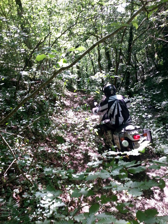 mmmmm 355 (Copier).jpg