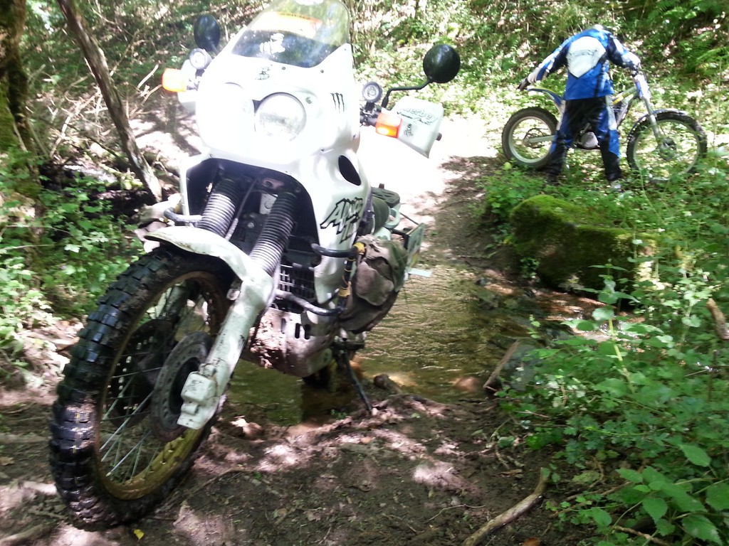 mmmmm 358 (Copier).jpg