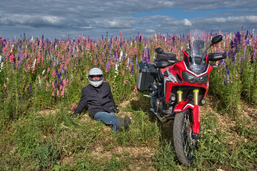 6292 Africa Lupin Atoc.jpg