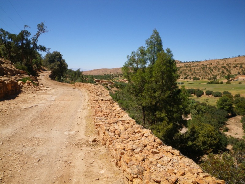 P14.JPG