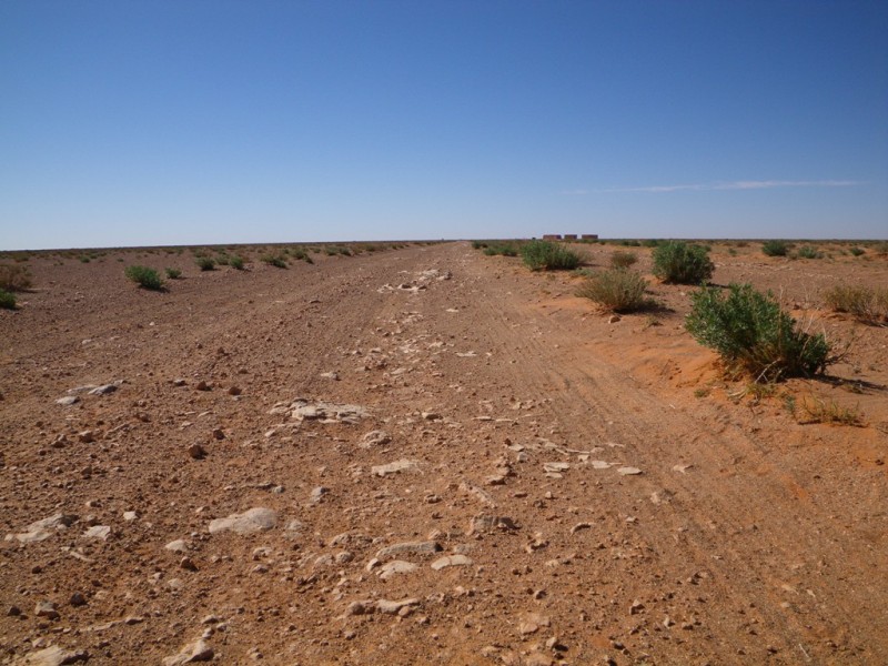 P26.JPG