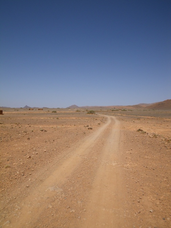 P42.JPG