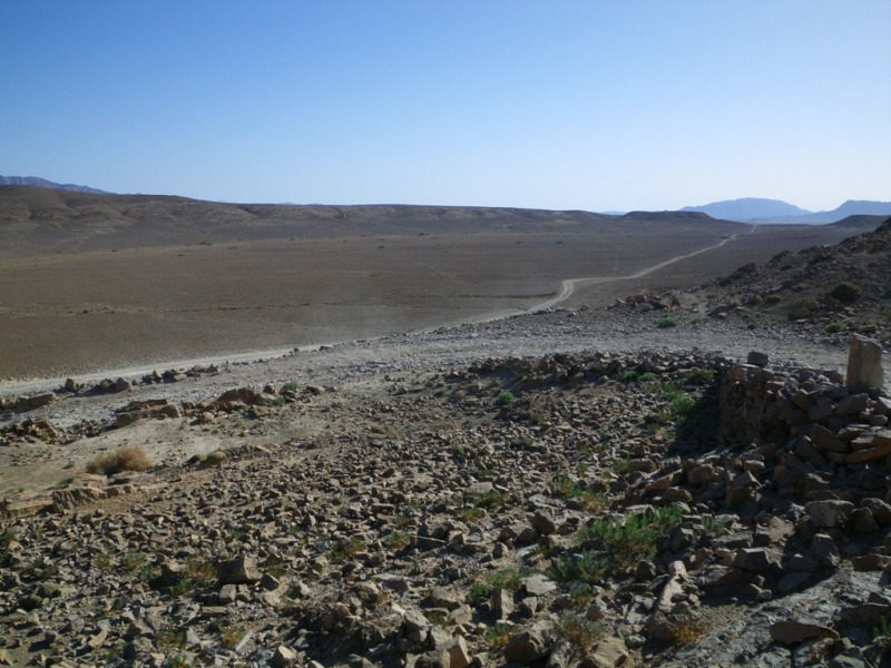 P53.JPG