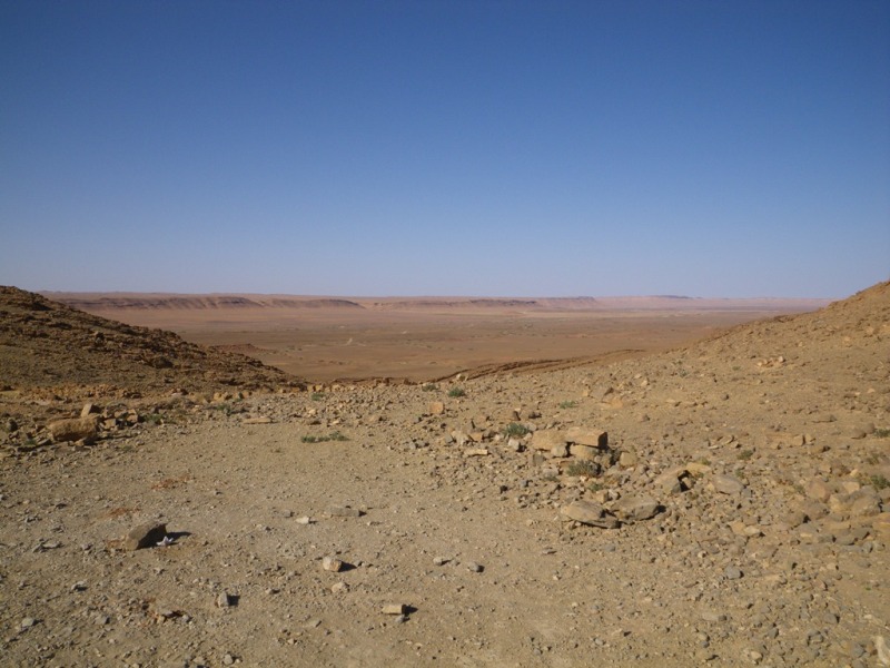 P56.JPG