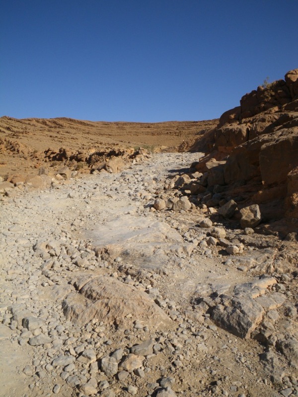 P58.JPG