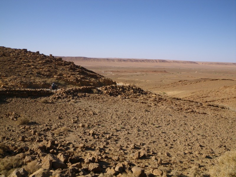 P59.JPG