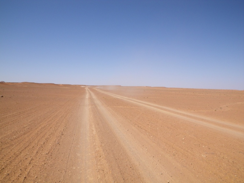 P63.JPG