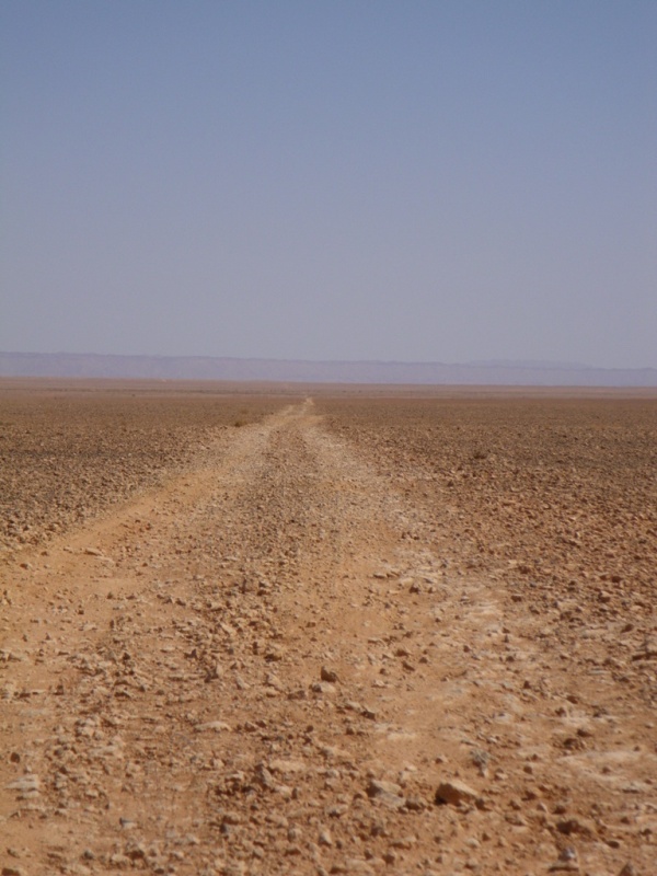 P66.JPG