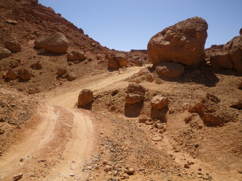 P72.JPG
