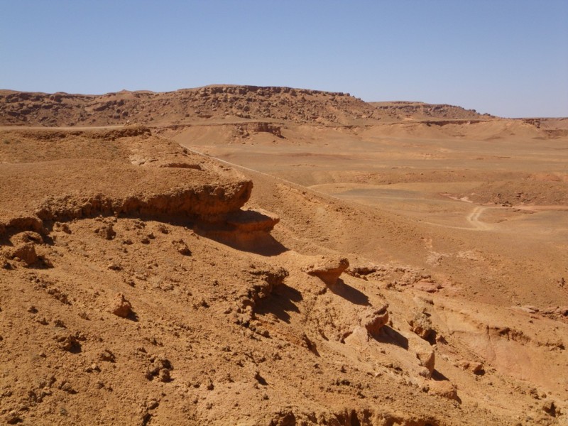 P75.JPG