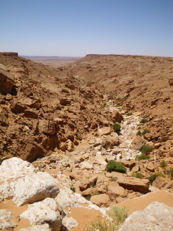 P80.JPG