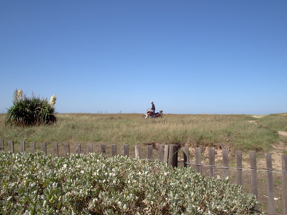 PICT0010.jpg..un échappé !.jpg