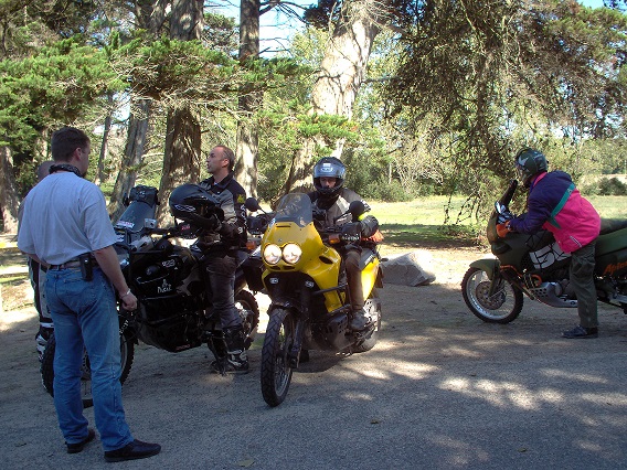 PICT0015.jpg..Titi jaune.jpg