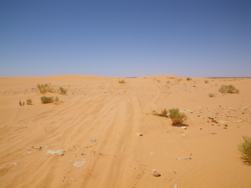 P82.JPG