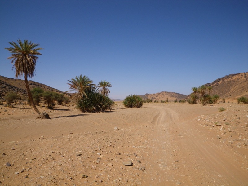 P94.JPG