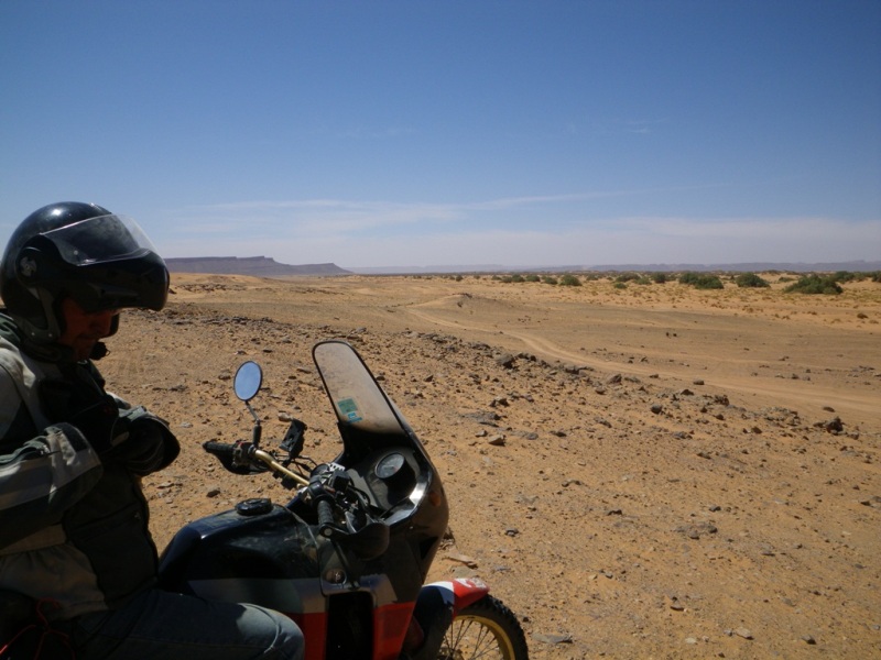 P97.JPG