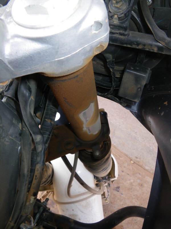 P112.JPG