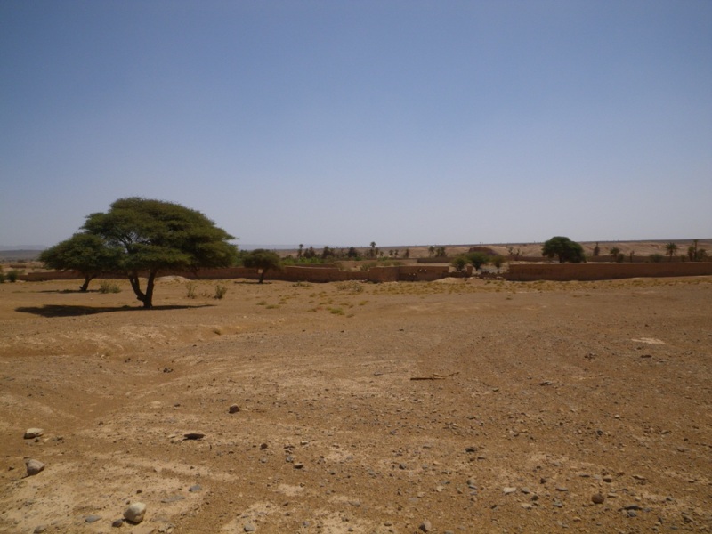 P120.JPG
