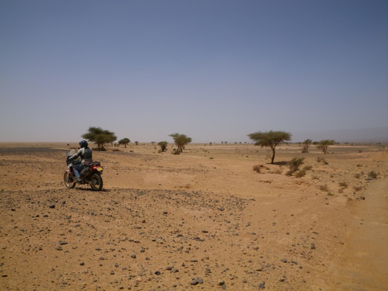 P122.JPG