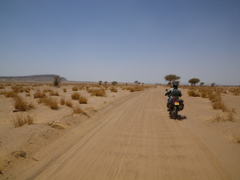P126.JPG