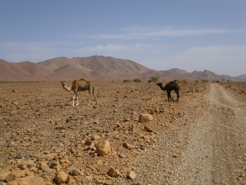 P132.JPG