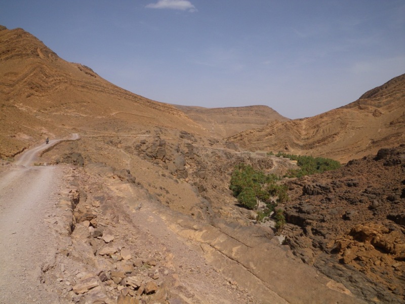 P146.JPG