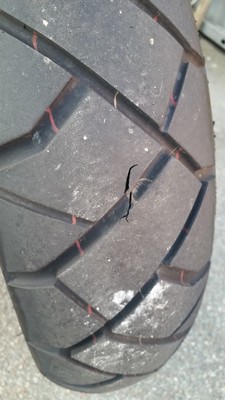 20170330_081218.jpg